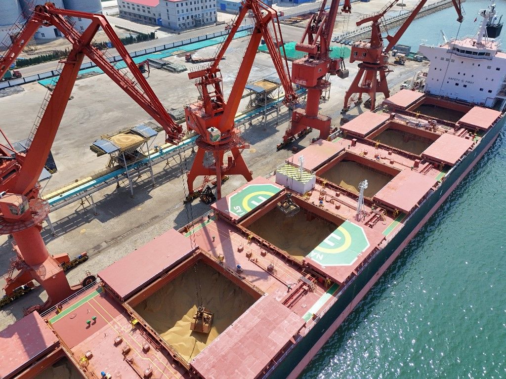 China Purchases Brazilian Soybeans