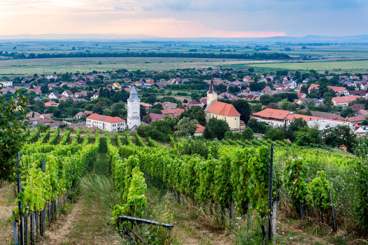 utcák, Panoramic,View,Of,Tarcal,Village,In,Tokaj,Wine,Region,,Hungary