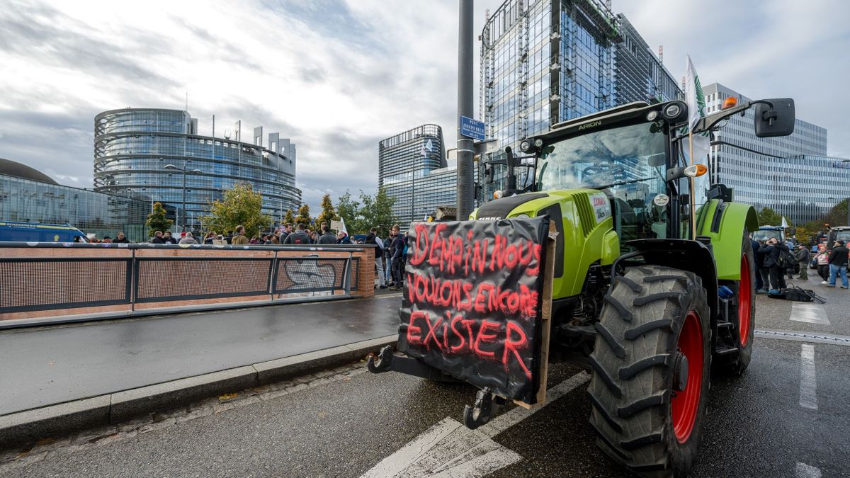 Gazdatüntetés az EU központjában: traktorokkal vonultak fel, ott voltak a magyarok is – fotók 