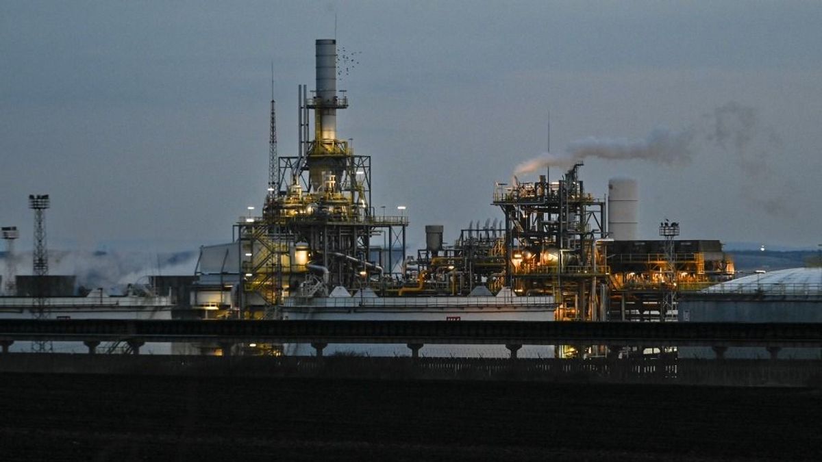 A Lukoil rájött, hogyan lakhat jól a kecske úgy, hogy a káposzta is megmaradjon 