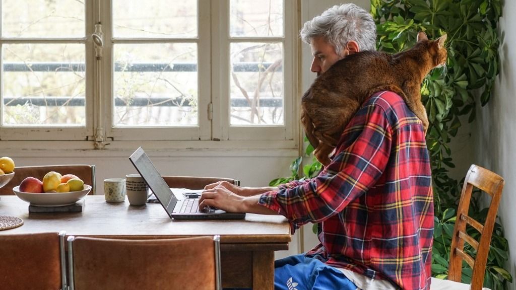 FRANCE - TELECOMMUTING AT kormány HOME vállalkozás vállalkozó