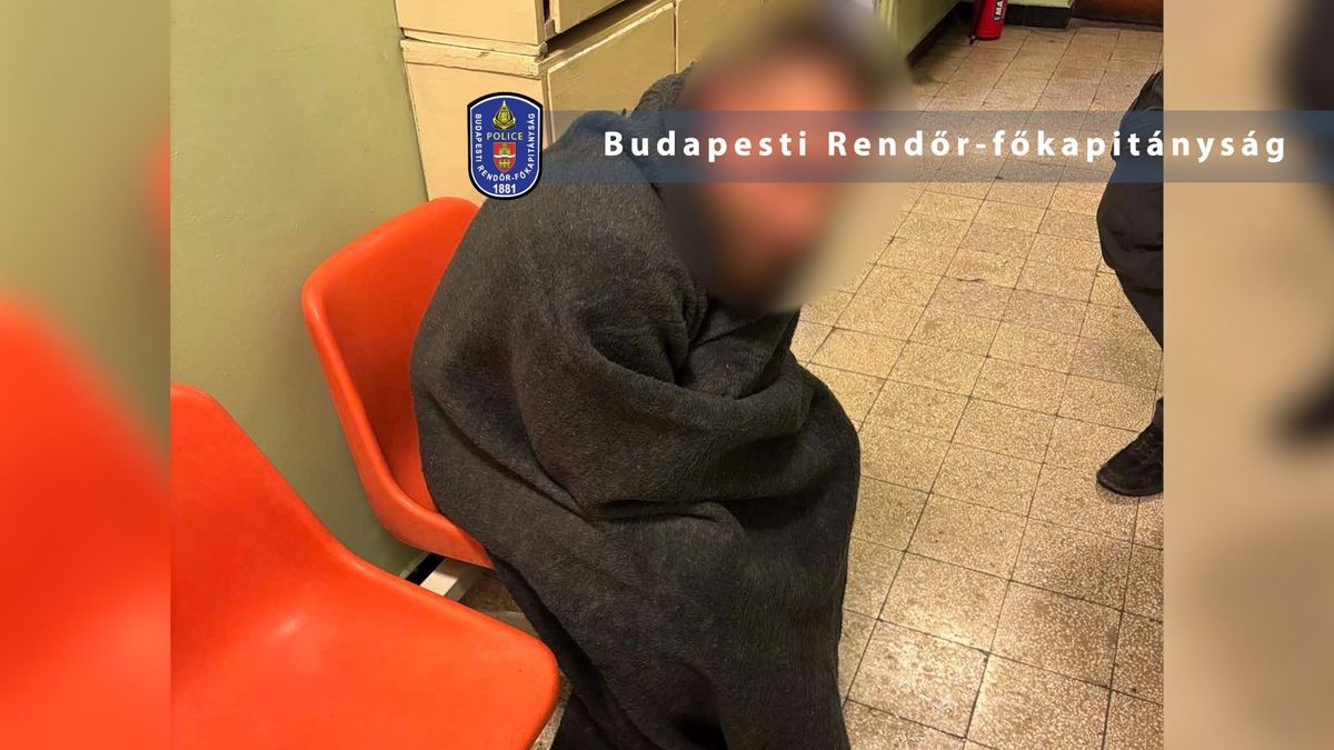 A Dunába ugorva menekült volna egy villa betörője – a rendőröknek mentőt kellett hívni, de utána lecsukták 