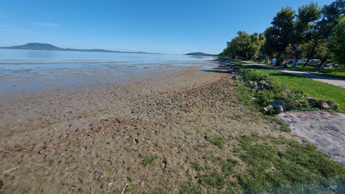 Újabb megszólalás a Balaton kiszáradásáról – megdöbbentő videót tettek közé a tó állapotáról 