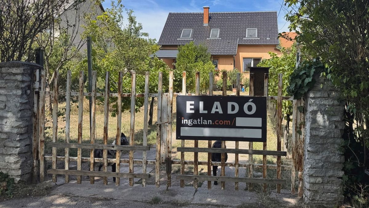 Duna House: az Otthon Start miatt felpörögtek az ingatlaneladások 