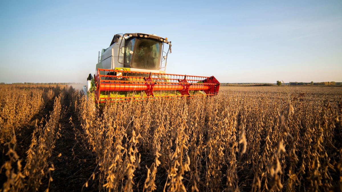 Meglepetéssel kedveskedik a kínai elnök Donald Trumpnak a csúcstalálkozó előtt