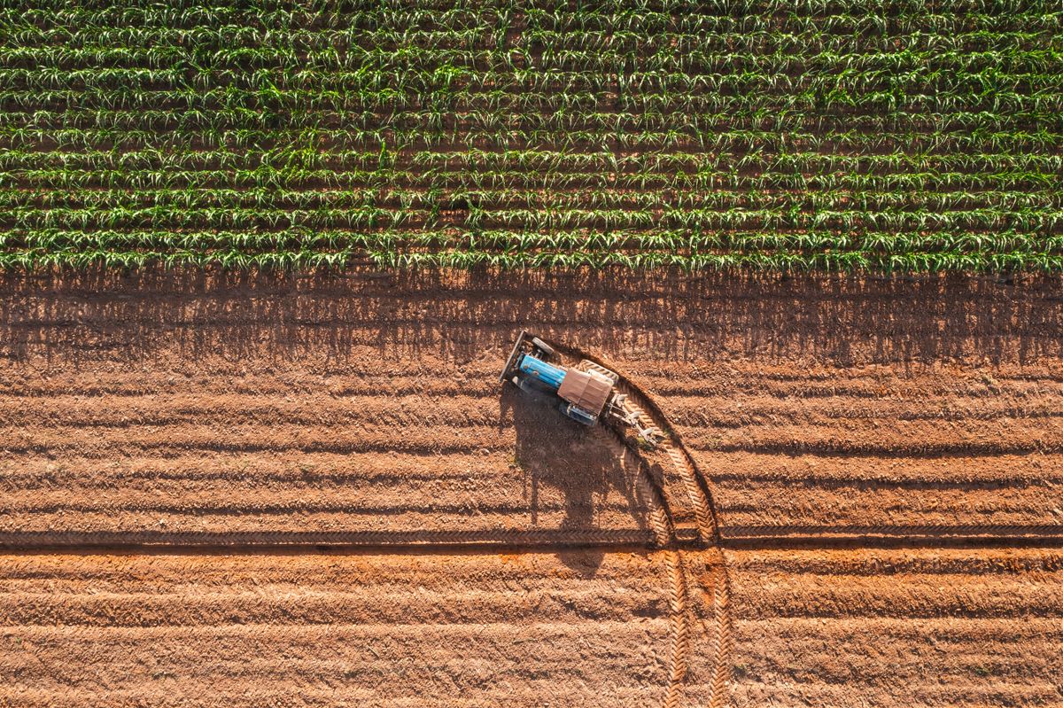 Aerial,Top,View,Tractor,Plowing,A,Field,,,Preparing,The