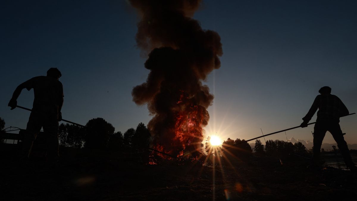Egy kis hétvégi avarégetés – nemcsak a tüdőt, még az agyat is roncsolja