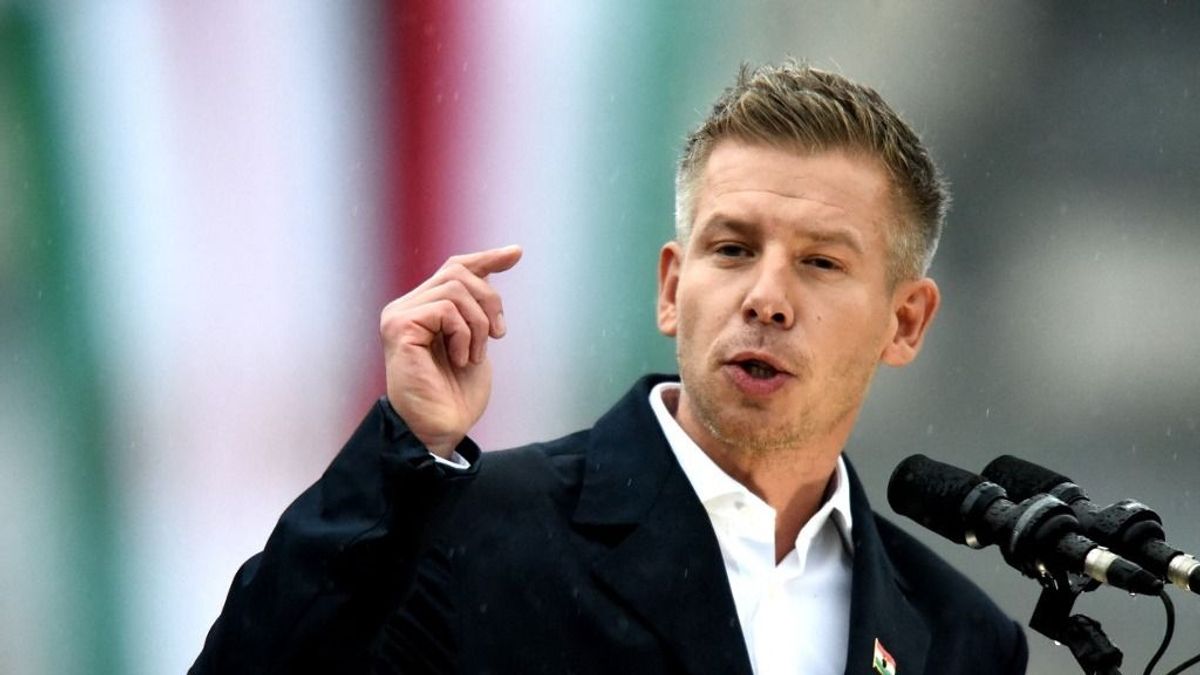 Magyar Péter a sajtót vádolja hazugsággal, miközben ő is arról beszél, hogy már régóta dolgoznak a szakértőik a programon 