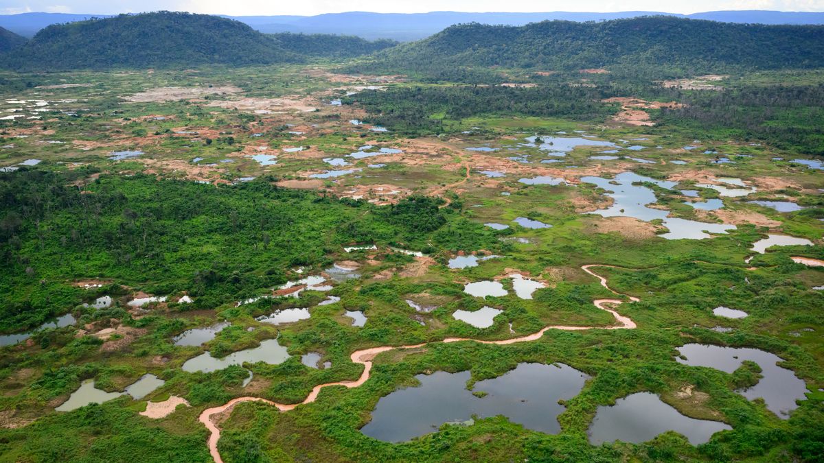 Elbukott a brazil matek – erdőirtással pörgették a gazdasági növekedést, most kiderült: ez öli meg a mezőgazdaságot 