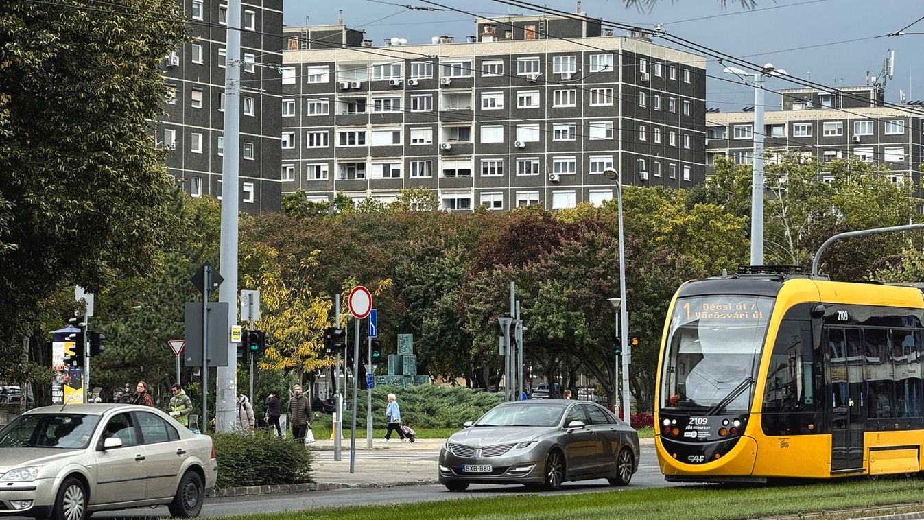 LUS_IMG_4396, albérlet,ingatlan,otthon start