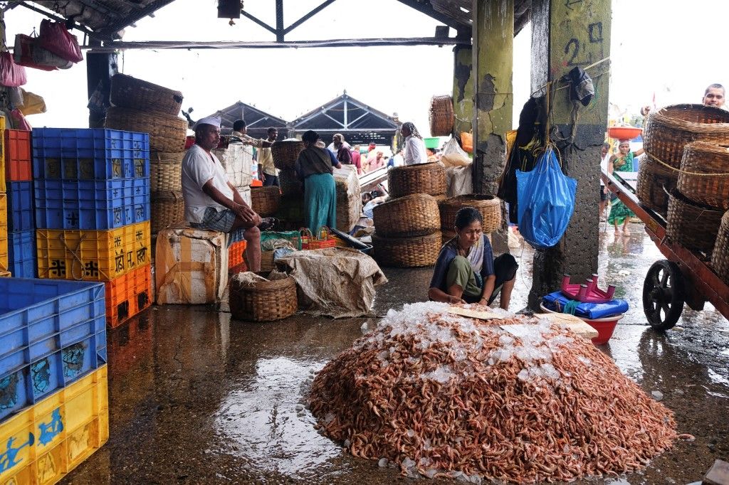 Milliók megélhetési került veszélybe: az amerikai vámok odavágnak az indiai garnélarák-iparnak