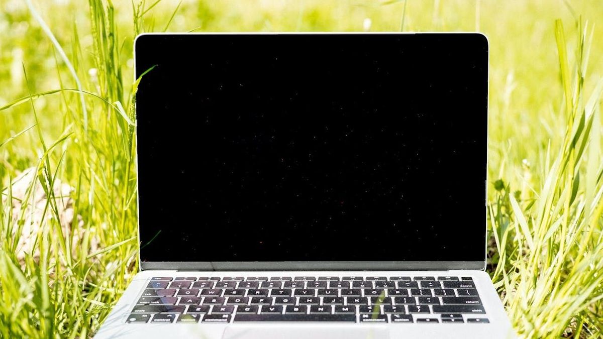 Zöldgalléros forradalom 2025-ben: a munkahelyek, amelyek nemcsak holnapot, hanem karriert is építenek (X) 