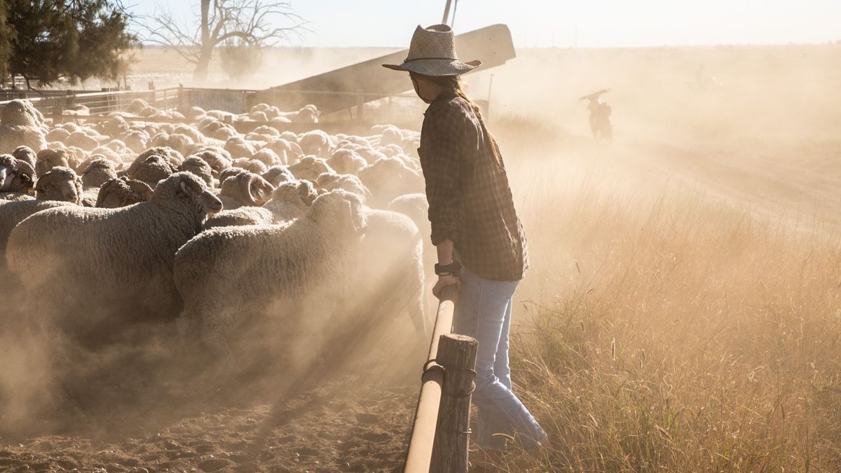 Átverné a gazdákat Brüsszel 