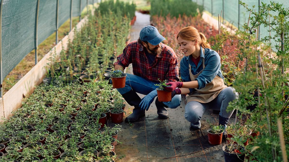 Mitől függ, hogy egy cég (gyorsan) növekszik vagy sem?