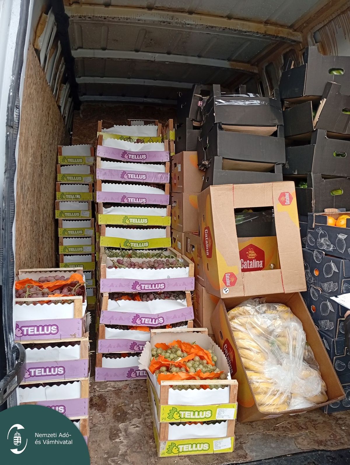 Összehangolt hatósági razzia a Nagybani Piac közelében