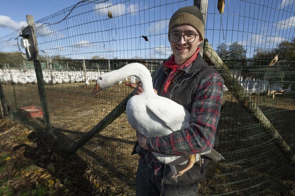 Poultry farmers in fear of bird flu