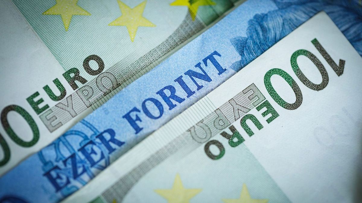 Kiterjedt pénzmosó hálózat bukott le Magyarországon – lebuktak a működtetők, most a bíróság dönthet sorsukról 