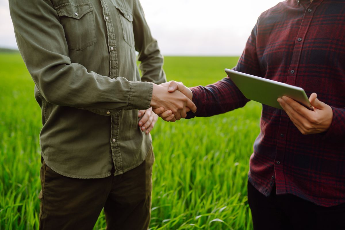 Two,Farmers,Making,Agreement,With,Handshake,In,Green,Wheat,Field.