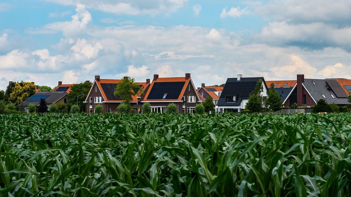 Hollandiában is túltolták a napelemet, a lakosság issza a levét 