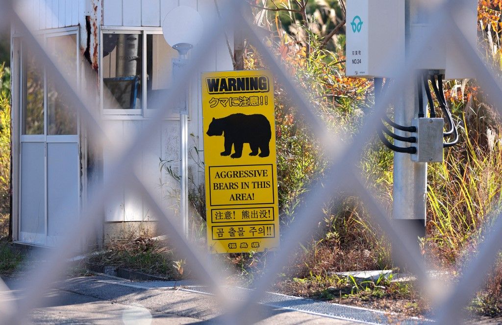 Bear warning sign in Fukushima Nuclear Power Plant accident zone