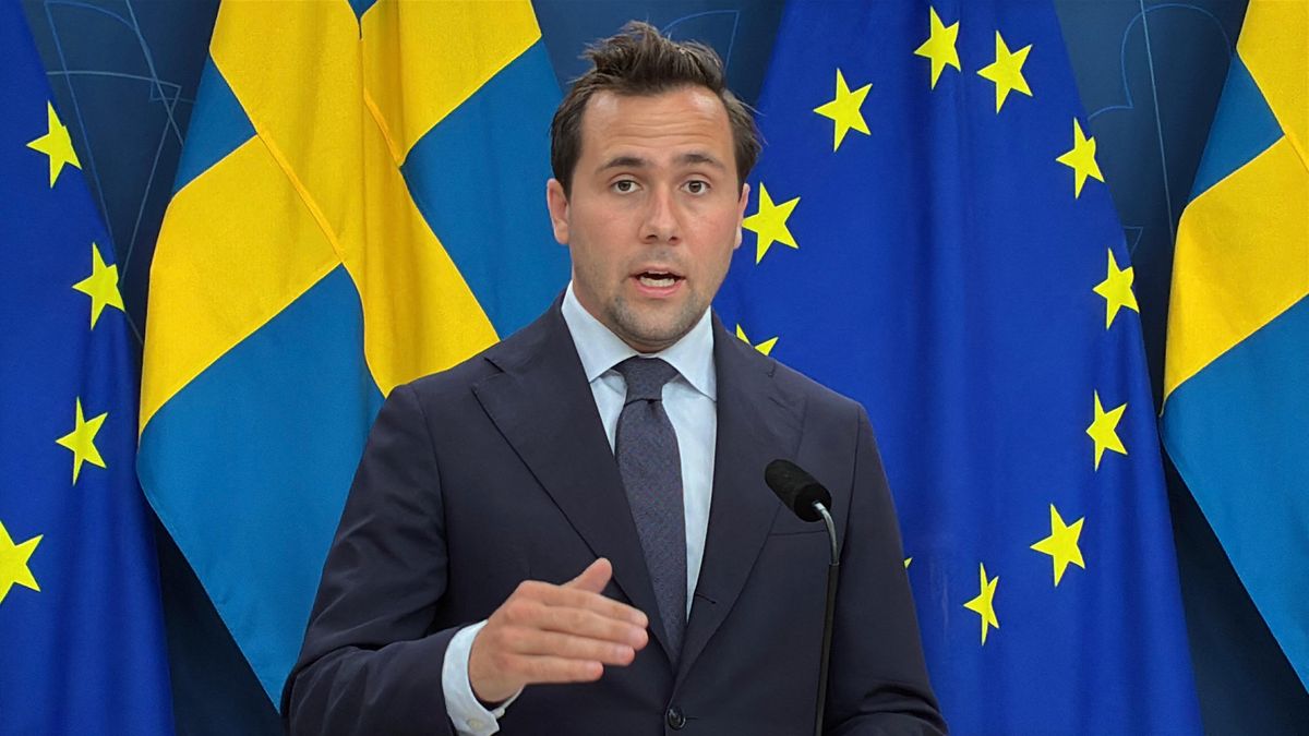 Swedish Minister for International Development Cooperation and Foreign Trade, Benjamin Dousa svédország szerbia