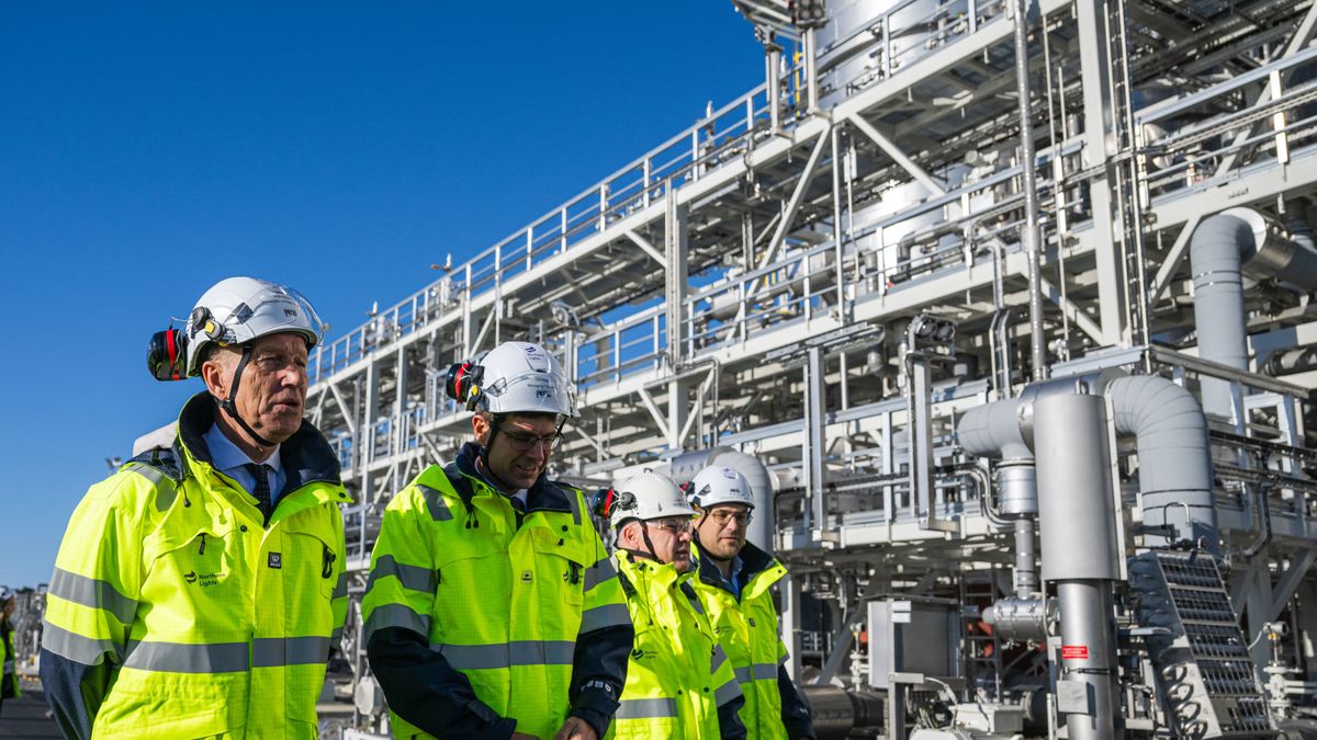 Terje Aasland norvégia