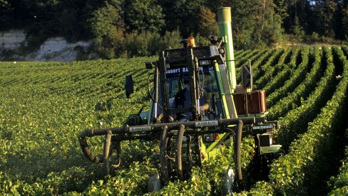 Több tízezer gazda vonulhat utcára az agrártámogatások megvágása miatt 