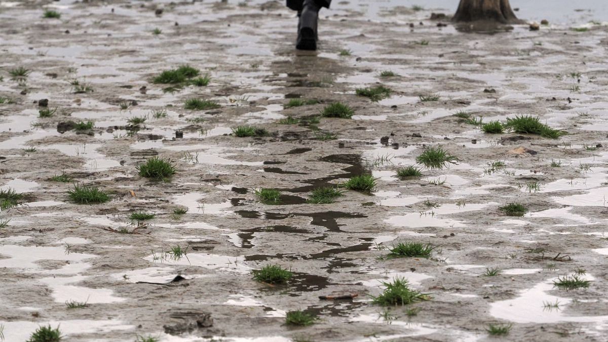 Ennyi volt? Kiszáradhat az egyik legnépszerűbb magyar tó, már alig maradt benne víz – sokkal nagyobb a baj, mint látszik 