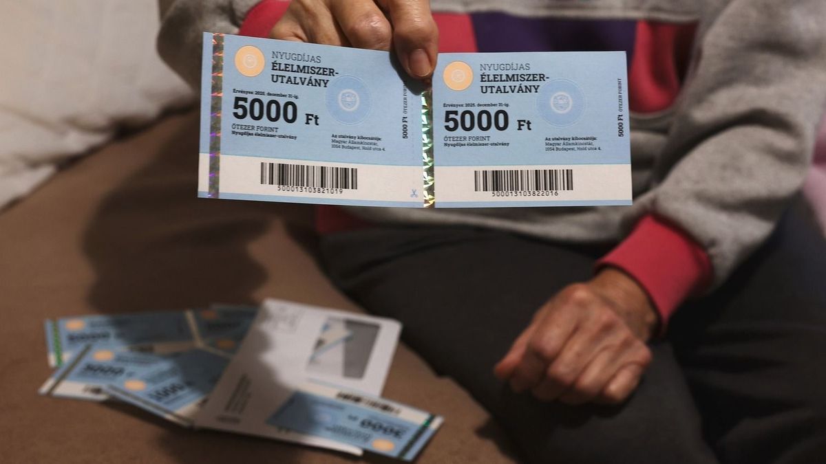Ha megsérült az se baj, de érdemes sietni – fontos határidő közeleg a nyugdíjas élelmiszerutalványoknál 
