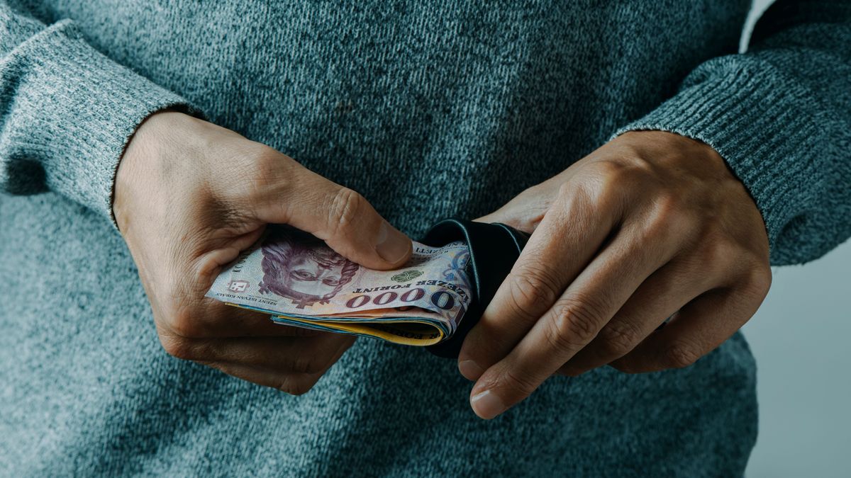 forint, pénz, bankjegy, pénztárca, kölcsön, kamat, fizetés