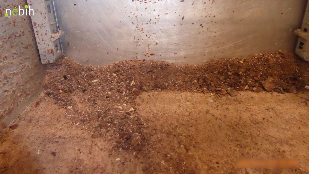 Karácsony előtt csapott le a Nébih – Azonnal leállították a Vas megyei édességgyárat