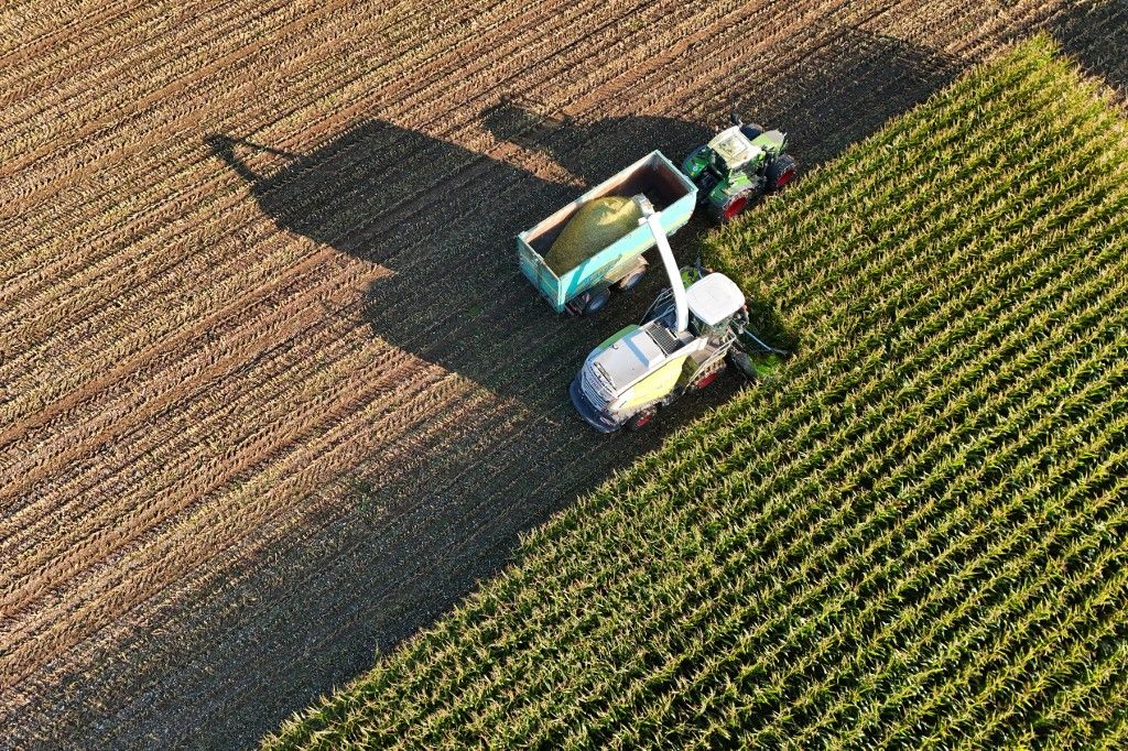 termelő, föld, gazda, traktor