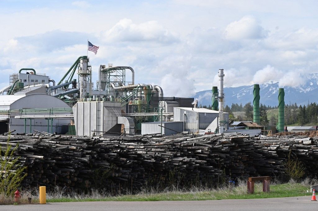 Montana Logging Industry, A Weyerhaeuser árbevétele 2023-ban 25 százalékkal, 2024-ben 7 százalékkal esett vissza, 
