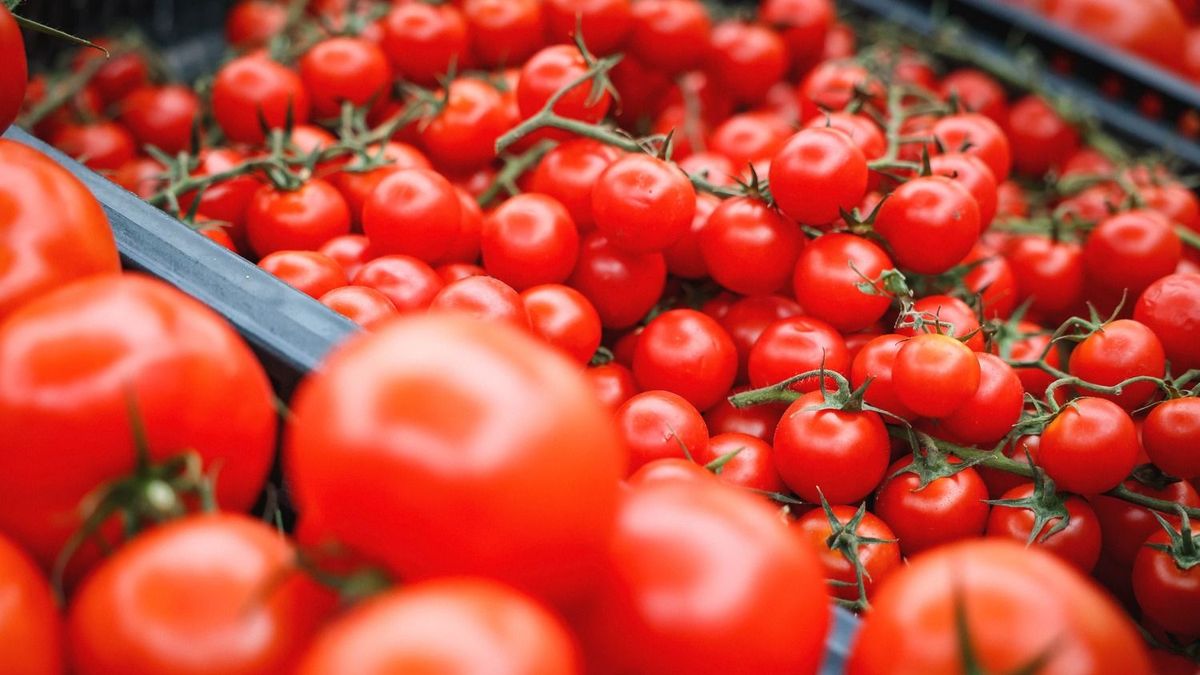 paprika,piac1112_MAR_ (32)