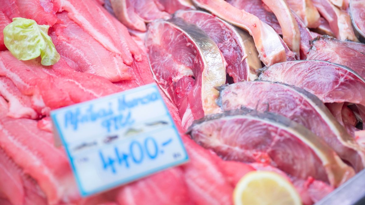 Karácsonyi csúcsüzem: rekordkereslet, tavalyi árak – egy hónap tartja életben a teljes magyar halgazdaságot 