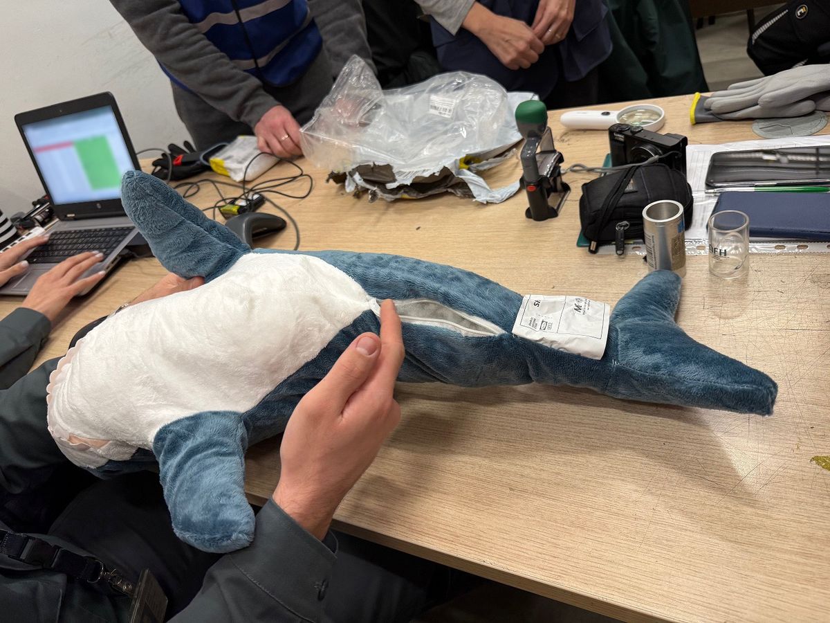 A razzia során elképesztő veszélyekre és hiányosságokra bukkantak a hazai hatóságok.