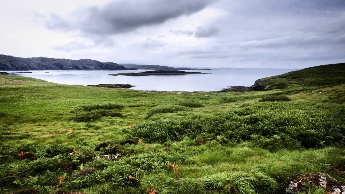 Új vadőrt keresnek erre az apró, lakatlan szigetre az északnyugati Skót-felföldön. A képen a Handa-sziget. Fotó: Getty Images/Vilhjalmur Ingi Vilhjalmsson