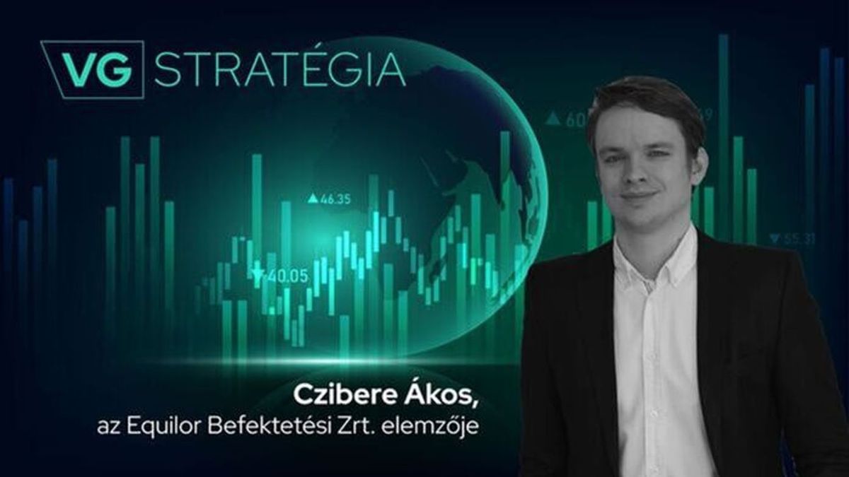 Egy faipari vállalat, amely kevesebbet ér, mint az erdői értéke 