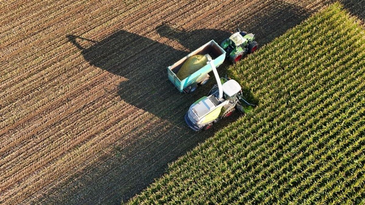 Most lehet állami földet vásárolni: már tart az árverés, előnyben a kezdő termelők – itt a lista a meghirdetett területekről 
