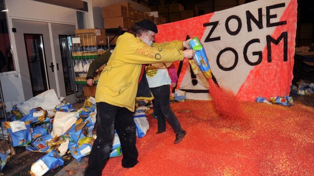 Megtalálta a módszert az EU, kiskaput nyitnak a génmódosított élelmiszereknek, észre se vesszük, ha ilyet vásárolunk 