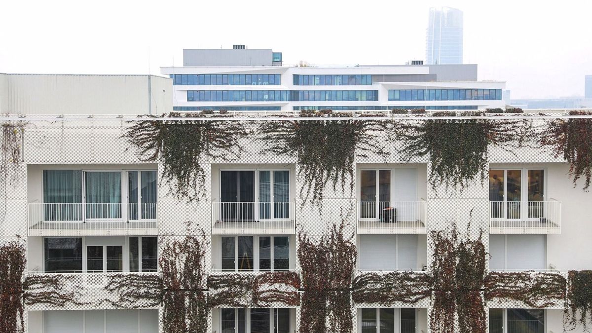 Döntött az 50 ezres vidéki nagyváros: eladja az önkormányzati lakásait az Otthon Start program miatt – rögtön 10 százalékkal leakciózza