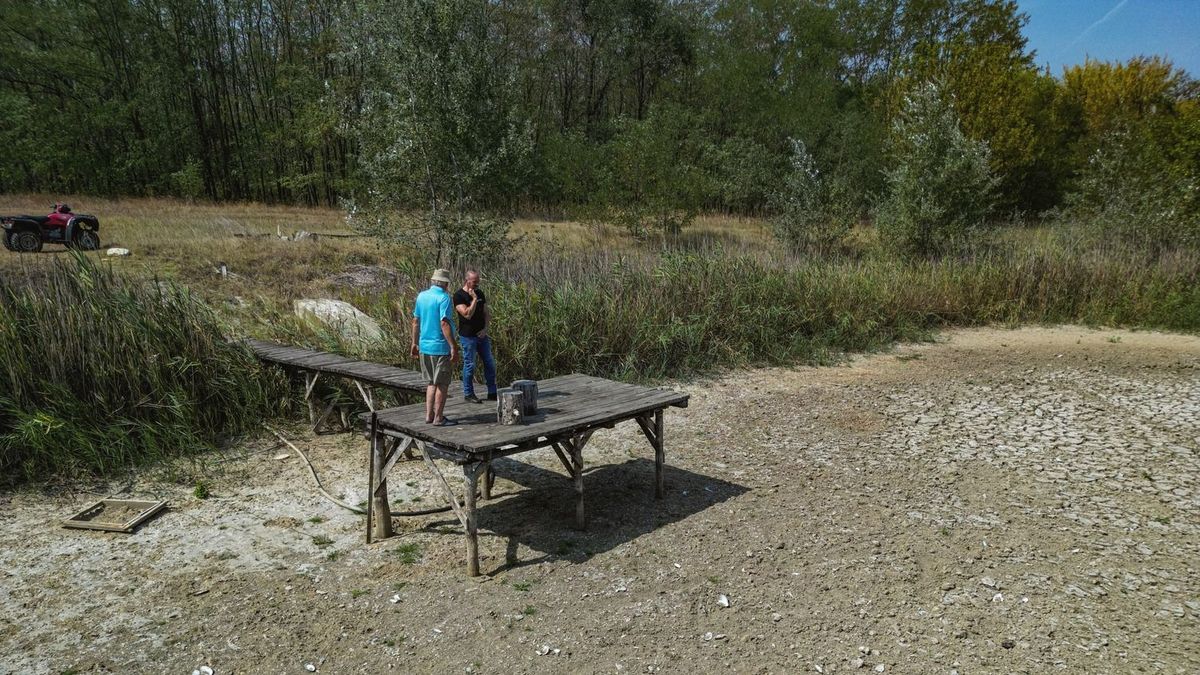 Forradalmi megoldással győznék le az aszályt a magyar szakemberek – kedvező számokat produkált a homokhátsági projekt 