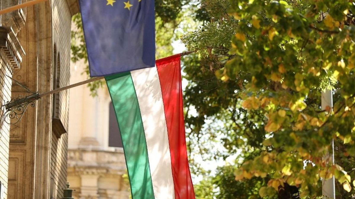 Ezért akar békét Magyarország Ukrajnában: Európában egyedüliként lesz tényező az új világrendben – „A többiek mind mögülünk indulnak” 