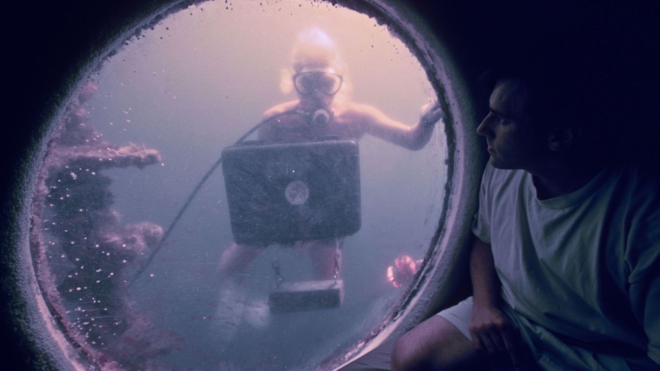 Hivatásos repülőgép-tolvaj, Tinderes szellemíró, parmezán-hallgató: hat meghökkentő állás a világból – az egyikért elképesztő összegeket fizetnek Kép