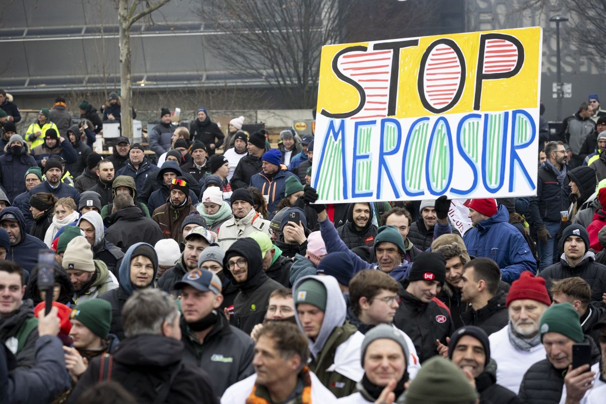 Miközben Brüsszel pezsgőt bont, a magyar vidék bajban van a Mercosur-egyezmény miatt