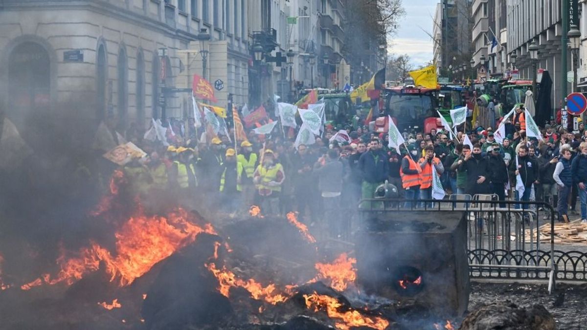 A fagyban is az utakra vonulnak a gazdák, mert Brüsszel napokon belül lépni készül, hogy tönkretegye őket 