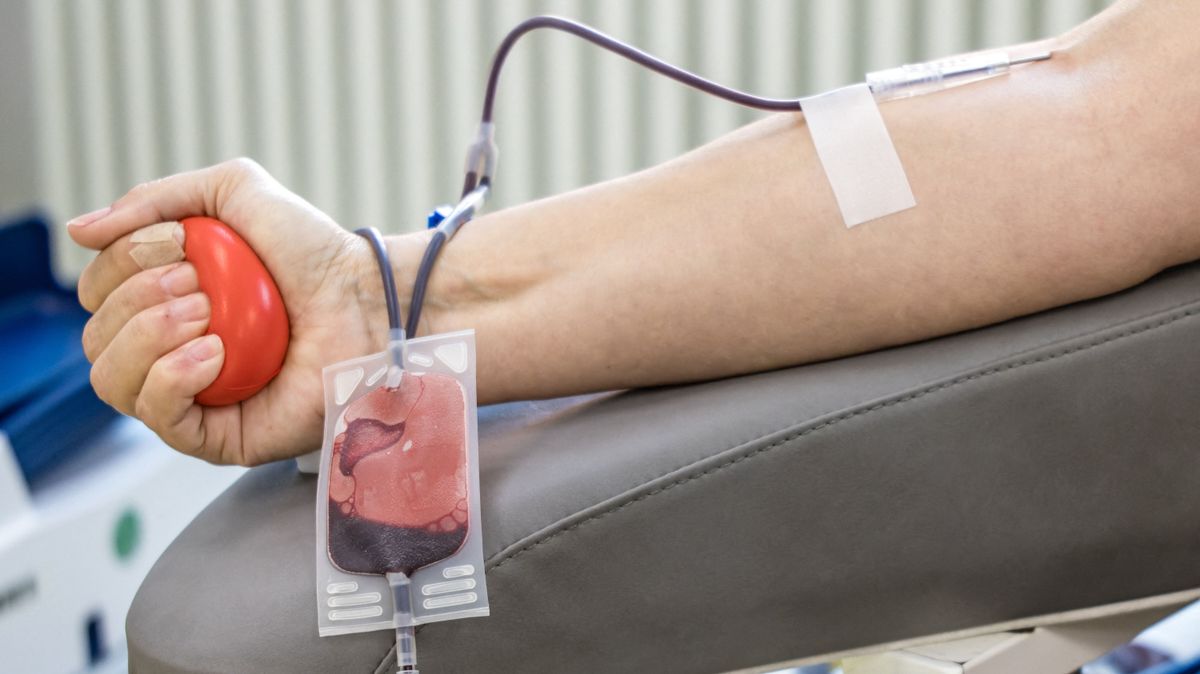 DRK blood donation campaign vérplazmaadás