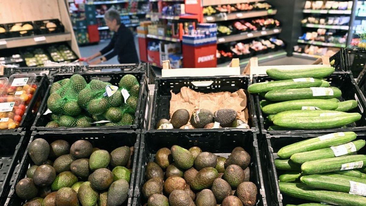 Kirobbant a béremelés-háború a magyar boltokban: újabb nagy lánc jelentette be a 2026-os fizetéseket – szívhatja a fogát a Tesco és az Aldi 