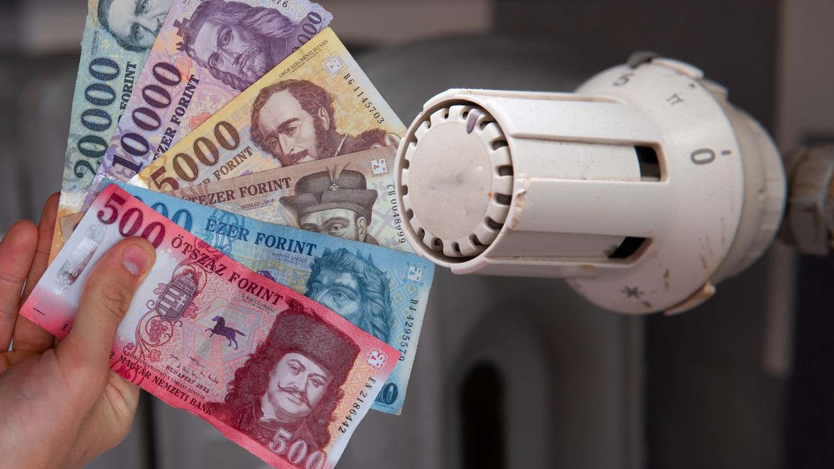 rezsi, pénz, forint, gáz, lakossági gáz, radiátor, fűtés, távfűtés, rezsicsökkentés, rezsi árHőszivattyú: a kereskedők nyakán maradnak - gázzal jobban megéri fűteni ,rezsicsökkentés