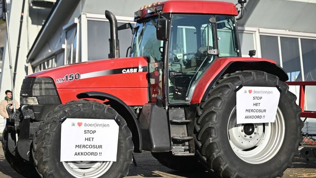 Mercosur-ellenes tüntetés Strasbourgban: ritka összefogás született a gazdák védelmében – a zöldek és a jobboldaliak együtt tiltakoztak 